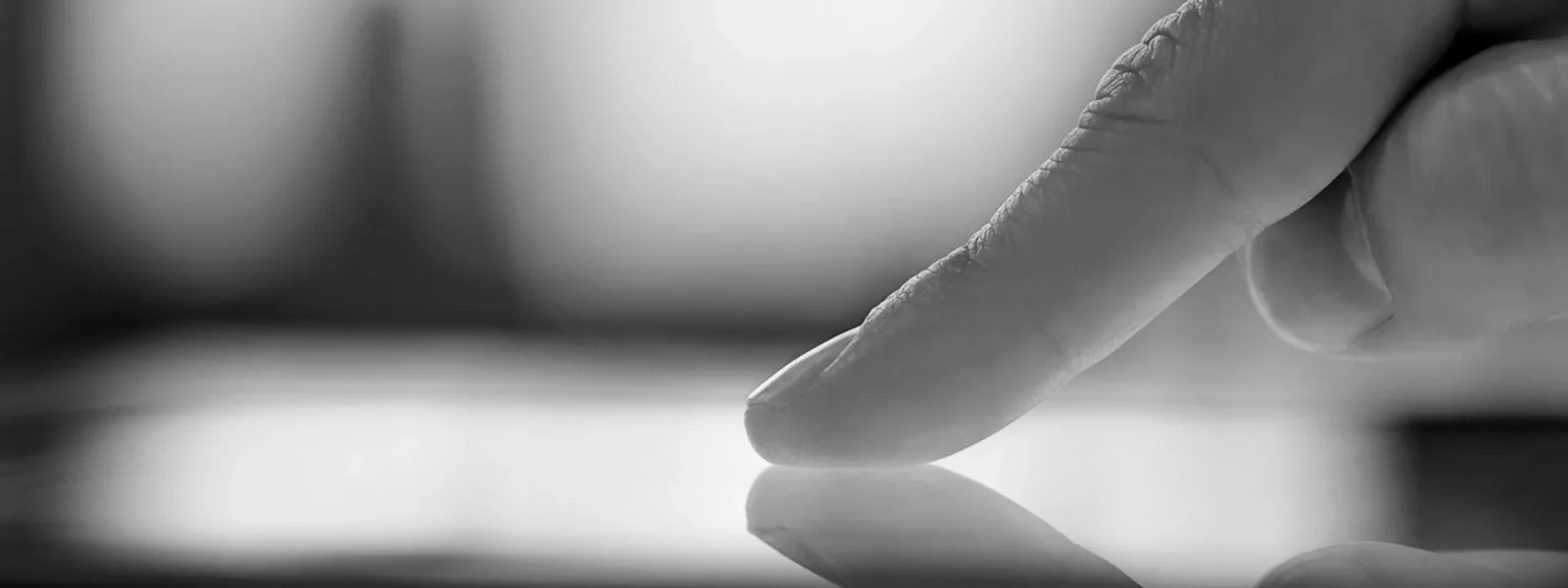 Eight Development Team